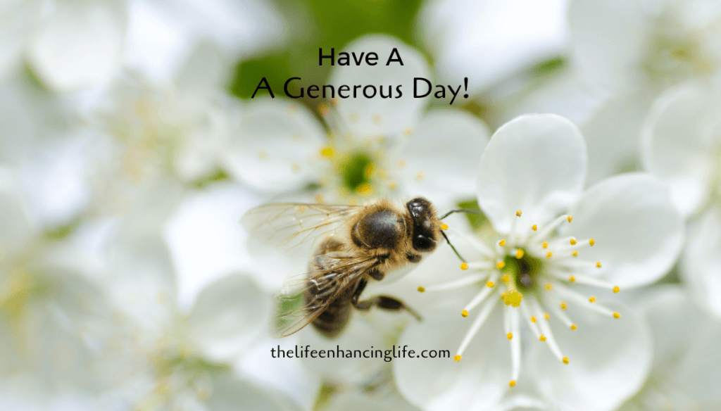 Generous Day Unlimited • The Life Enhancing Life